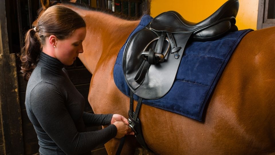 How to Choose the Perfect Horse Saddle for a Smooth Ride